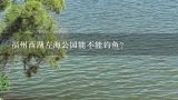 福州西湖左海公园能不能钓鱼？西湖钓鱼证怎么办理