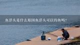 鱼浮头是什么原因鱼浮头可以钓鱼吗？水流大鱼浮老是飘走怎么调