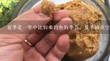 夏季是一年中比较难钓鱼的季节，夏季路亚空军的原因,夏钓早晚也空军，你知道是因为犯了哪四点错误吗？