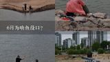 6月为啥鱼没口？为什么阴天鱼没口呢？