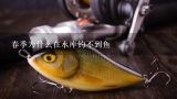 春季为什么在水库钓不到鱼,各位钓友在贵州现在这种季节在水库钓夜鱼(鲢鱼和鳙鱼）用什么饵料好。急！急！急！！！！