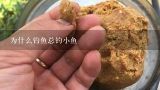 为什么钓鱼总钓小鱼,我在河里钓鱼为什么么总是小鱼吃钓