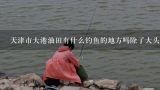 天津市大港油田有什么钓鱼的地方吗除了大头鱼钓 别的鱼的地方。谢谢,南海油田有什么鱼钓