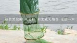 迪佳黑纹鲤 水文粹 和光威天翔贺 无法一本 5.4米或4,请问高高手迪佳黑纹鲤和无法一本三代目4.5的那个好