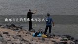 山东枣庄的龙床水库怎么去?山东20座水库泄洪具体情况怎么样了？