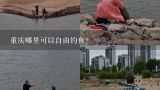 重庆哪里可以自由钓鱼?