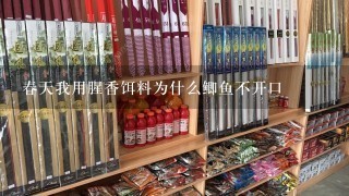 春天我用腥香饵料为什么鲫鱼不开口