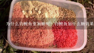 为什么钓鲤鱼要加糖呢？钓鲤鱼加什么糖效果最好？