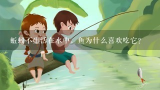 蚯蚓不生活在水中，鱼为什么喜欢吃它？