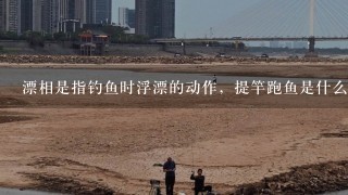 漂相是指钓鱼时浮漂的动作，提竿跑鱼是什么原因？