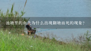 池塘里的鱼儿为什么出现翻塘而死的现象？