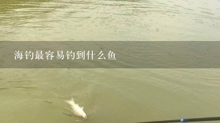 海钓最容易钓到什么鱼