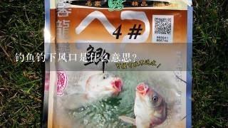 钓鱼钓下风口是什么意思？