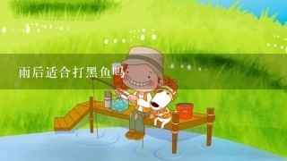 雨后适合打黑鱼吗