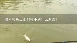 退水钓鱼怎么都钓不到什么原因？