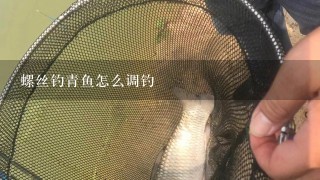 螺丝钓青鱼怎么调钓