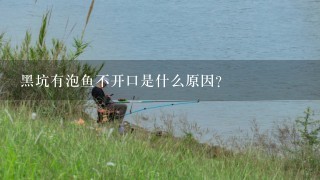 黑坑有泡鱼不开口是什么原因？