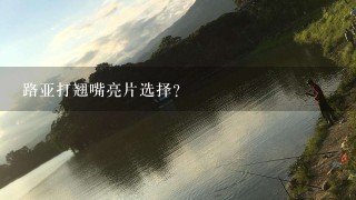 路亚打翘嘴亮片选择？