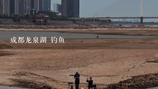 成都龙泉湖 钓鱼