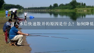 鱼饵入水后快速散开的原因是什么？如何降低鱼饵入水