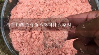 海竿钓鲤鱼有鱼不吃饵什么原因