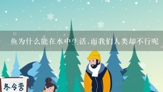 鱼为什么能在水中生活,而我们人类却不行呢