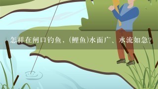 怎样在闸口钓鱼，(鲤鱼)水面广、水流如急？