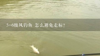 5-6级风钓鱼 怎么避免走标？