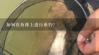 如何在鱼排上进行垂钓？