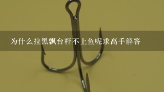 为什么拉黑飘台杆不上鱼呢求高手解答