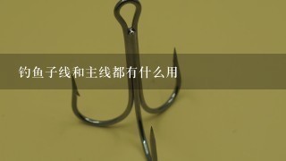 钓鱼子线和主线都有什么用