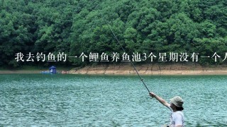 我去钓鱼的1个鲤鱼养鱼池3个星期没有1个人能掉到