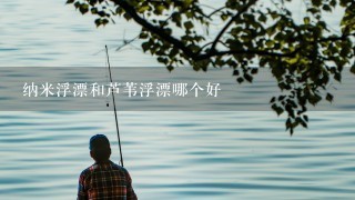 纳米浮漂和芦苇浮漂哪个好