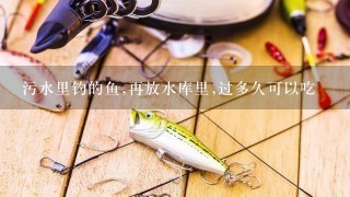 污水里钓的鱼,再放水库里,过多久可以吃