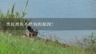 黑坑滑鱼不吃钩的原因？