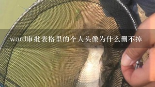 word审批表格里的个人头像为什么删不掉