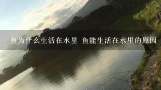 鱼为什么生活在水里 鱼能生活在水里的原因