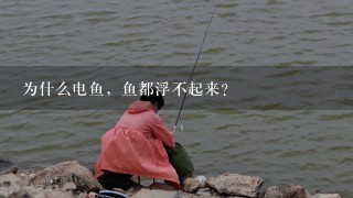 为什么电鱼，鱼都浮不起来？