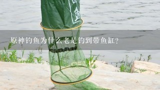 原神钓鱼为什么老是钓到带鱼缸?