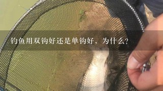 钓鱼用双钩好还是单钩好，为什么？