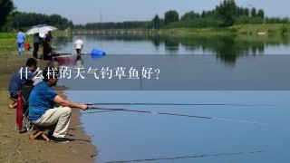 什么样的天气钓草鱼好?