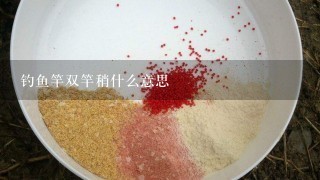 钓鱼竿双竿稍什么意思