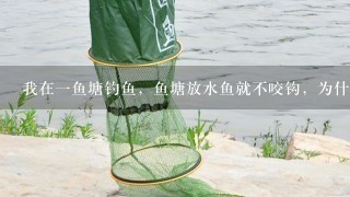 我在1鱼塘钓鱼，鱼塘放水鱼就不咬钩，为什么？