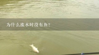 为什么涨水时没有鱼?