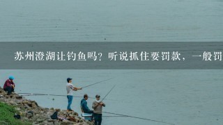 苏州澄湖让钓鱼吗？听说抓住要罚款，1般罚多少？