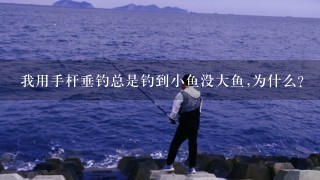 我用手杆垂钓总是钓到小鱼没大鱼,为什么?