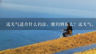 这天气适合什么钓法，能钓到鱼么？这天气。