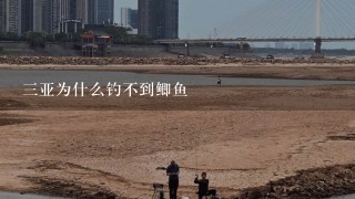 3亚为什么钓不到鲫鱼