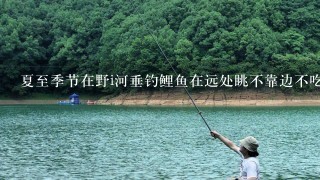 夏至季节在野i河垂钓鲤鱼在远处眺不靠边不吃饵什么原因？