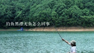 钓鱼黑漂无鱼怎么回事